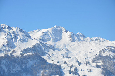 Bild 3: Volksbiathlon 2013