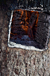 Bild 271: Volksbiathlon 2013