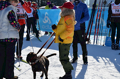 Bild 231: Volksbiathlon 2013